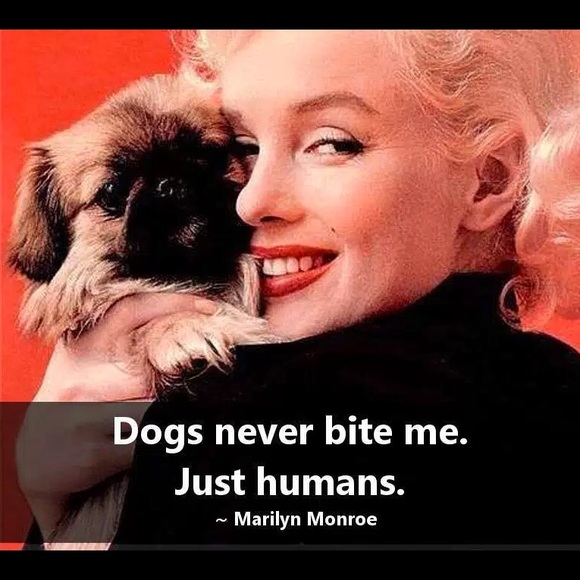 Meet your Posher, Marisa! NOT FOR SALE - Picture 8 of 12